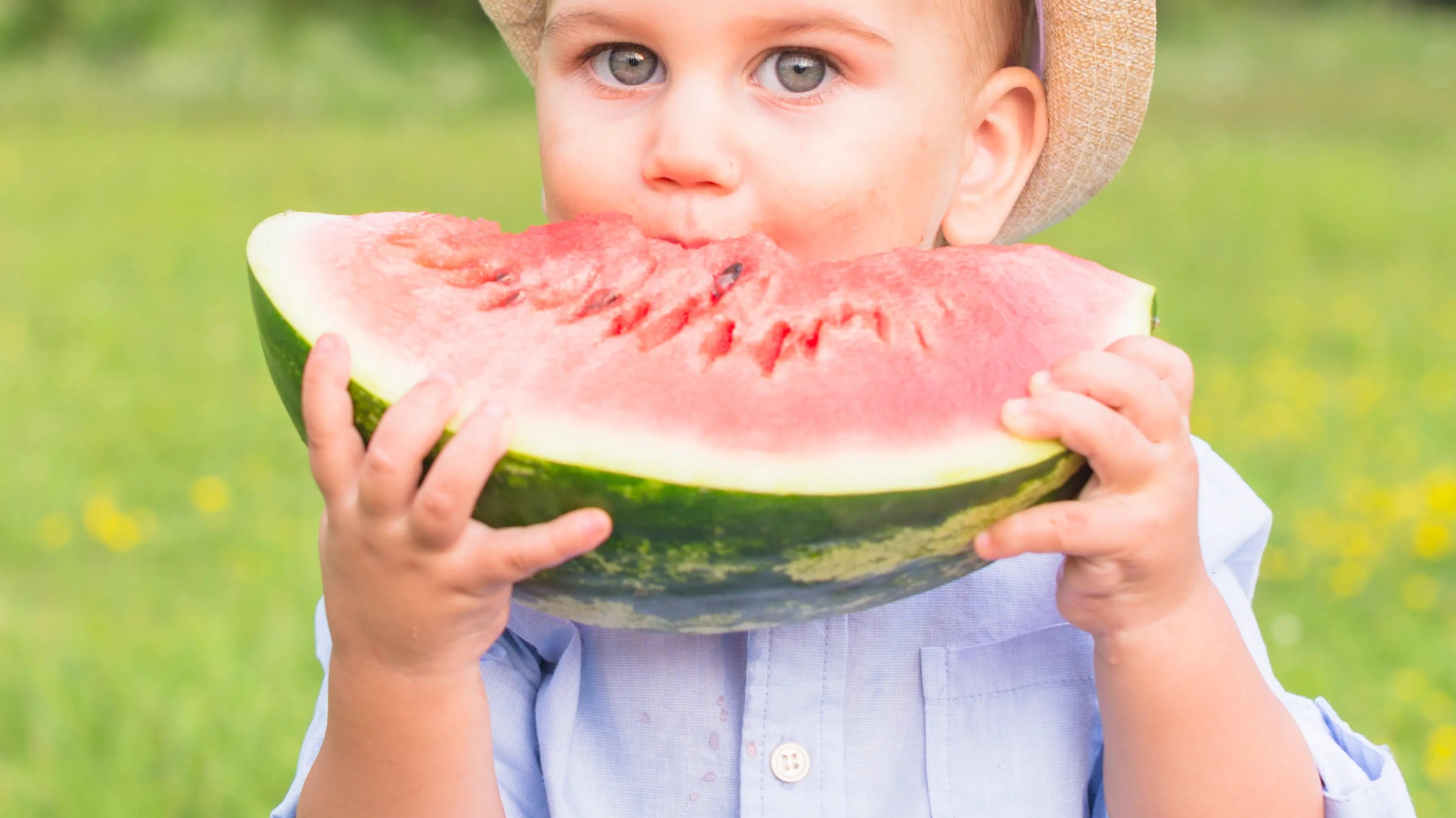 Toddler-Friendly Meal Ideas for Sunny Days: Quick and Delicious Recipes - AlmaVidaKids