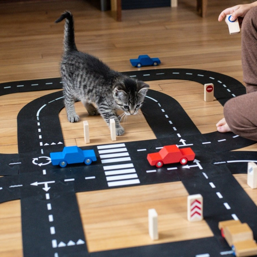 King of the Road Car Edition - AlmaVidaKids