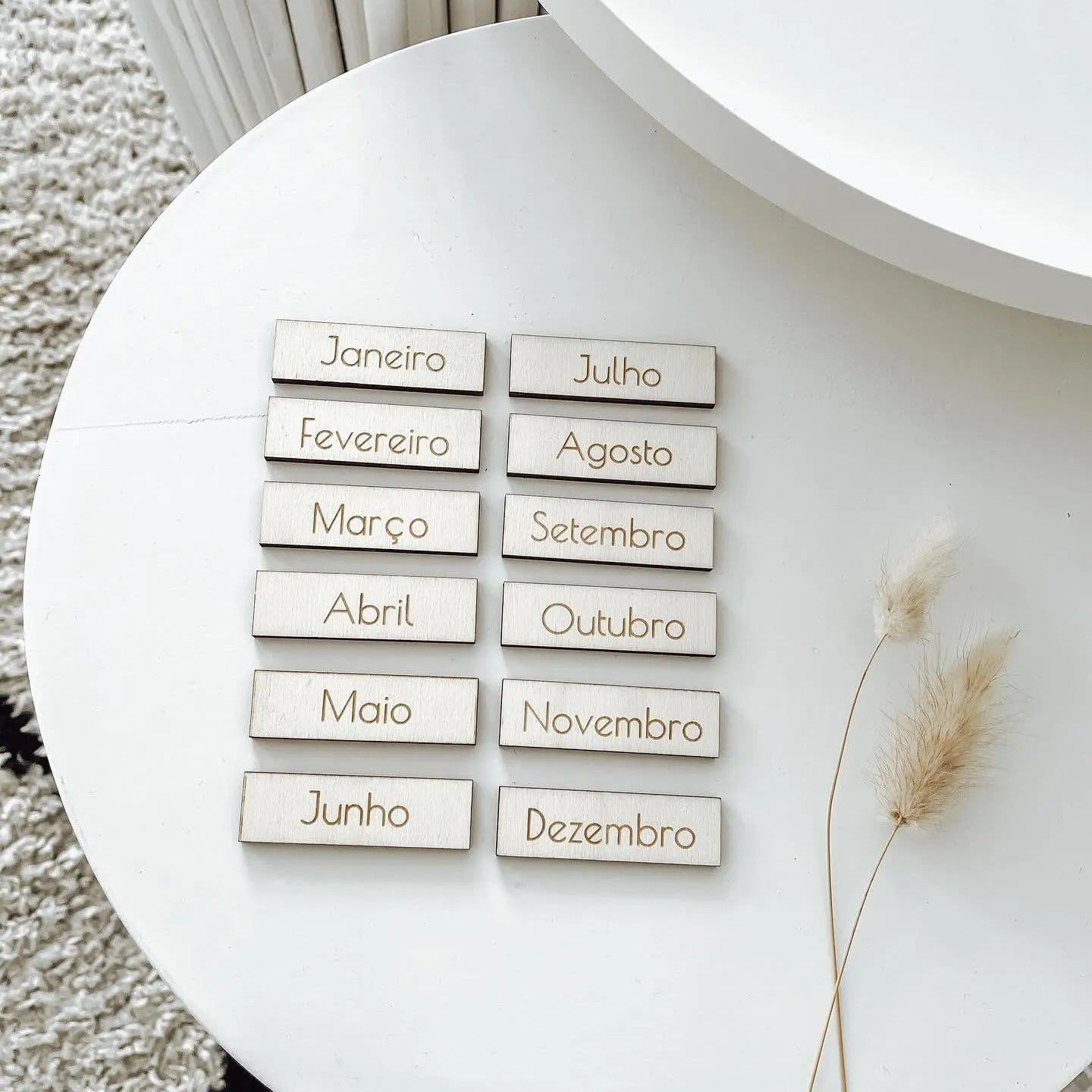 Month Pictograms - AlmaVidaKids