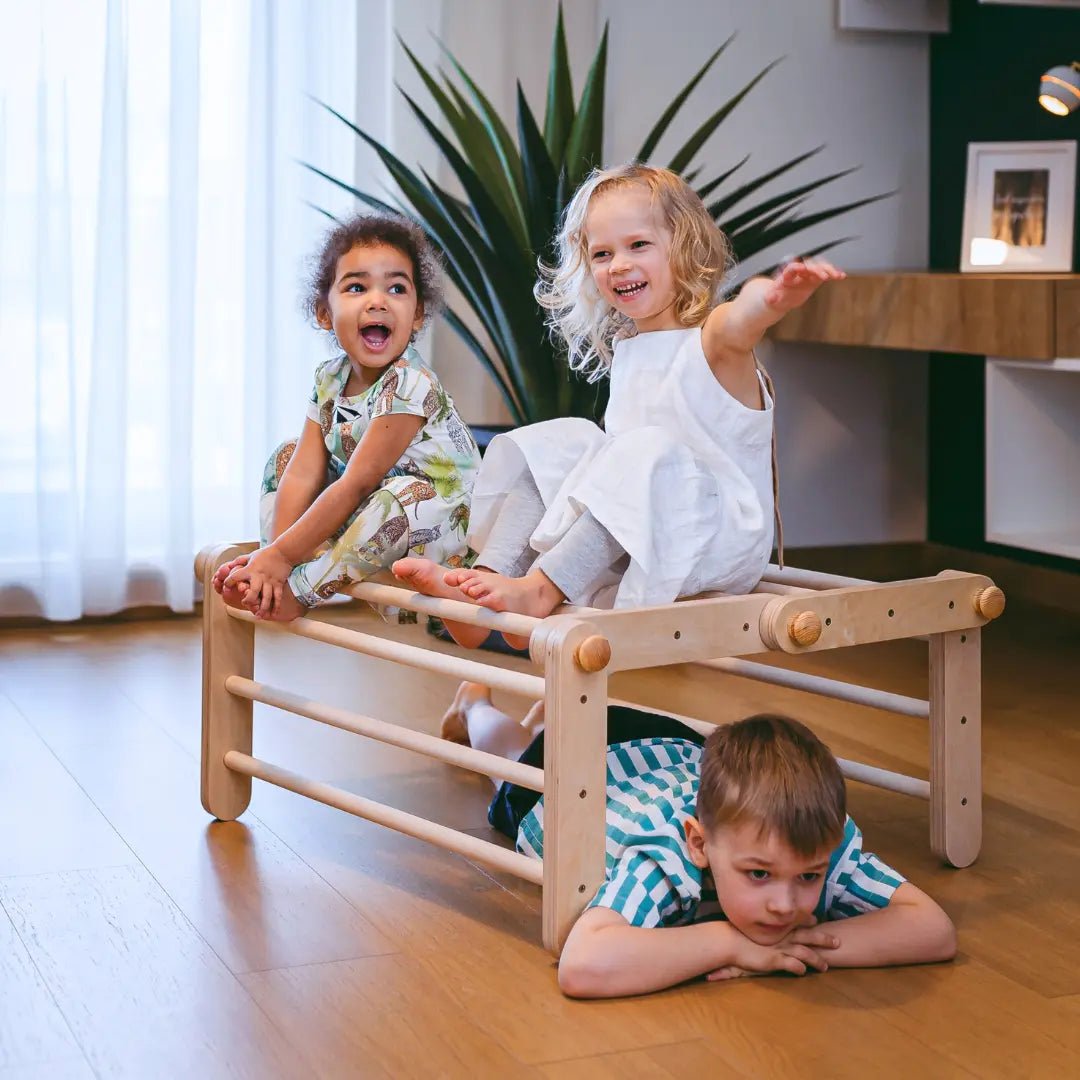 MOPITRI® 4 - segment Modifiable Climbing Pikler Triangle - AlmaVidaKids