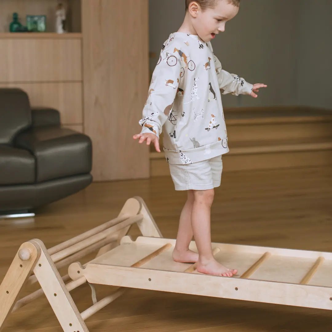 MOPITRI® 4 - segment Modifiable Climbing Pikler Triangle - AlmaVidaKids