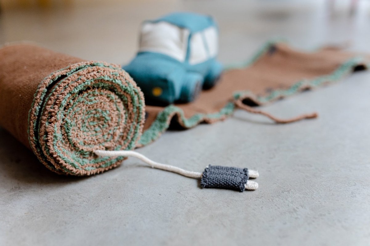 Ride & Roll Safari | Eco - city - AlmaVidaKids