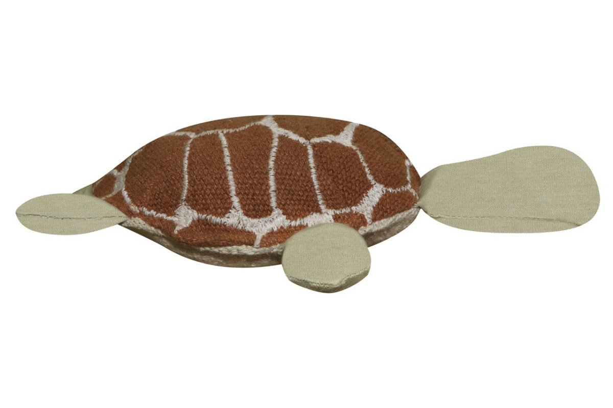 Ride & Roll Under the Sea - AlmaVidaKids