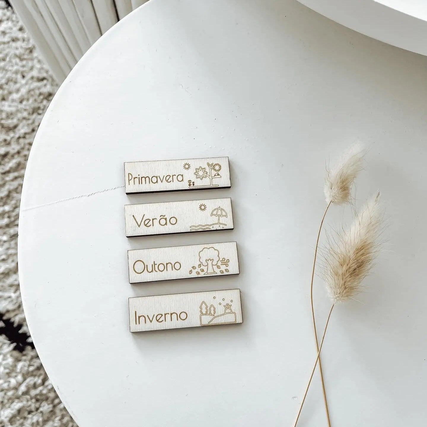 Season Pictogram - AlmaVidaKids