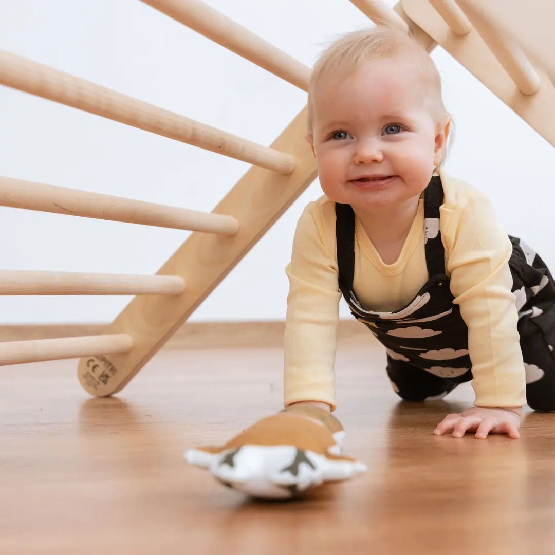 SIPITRI® • 2 segment climbing triangle with adjustable height - AlmaVidaKids