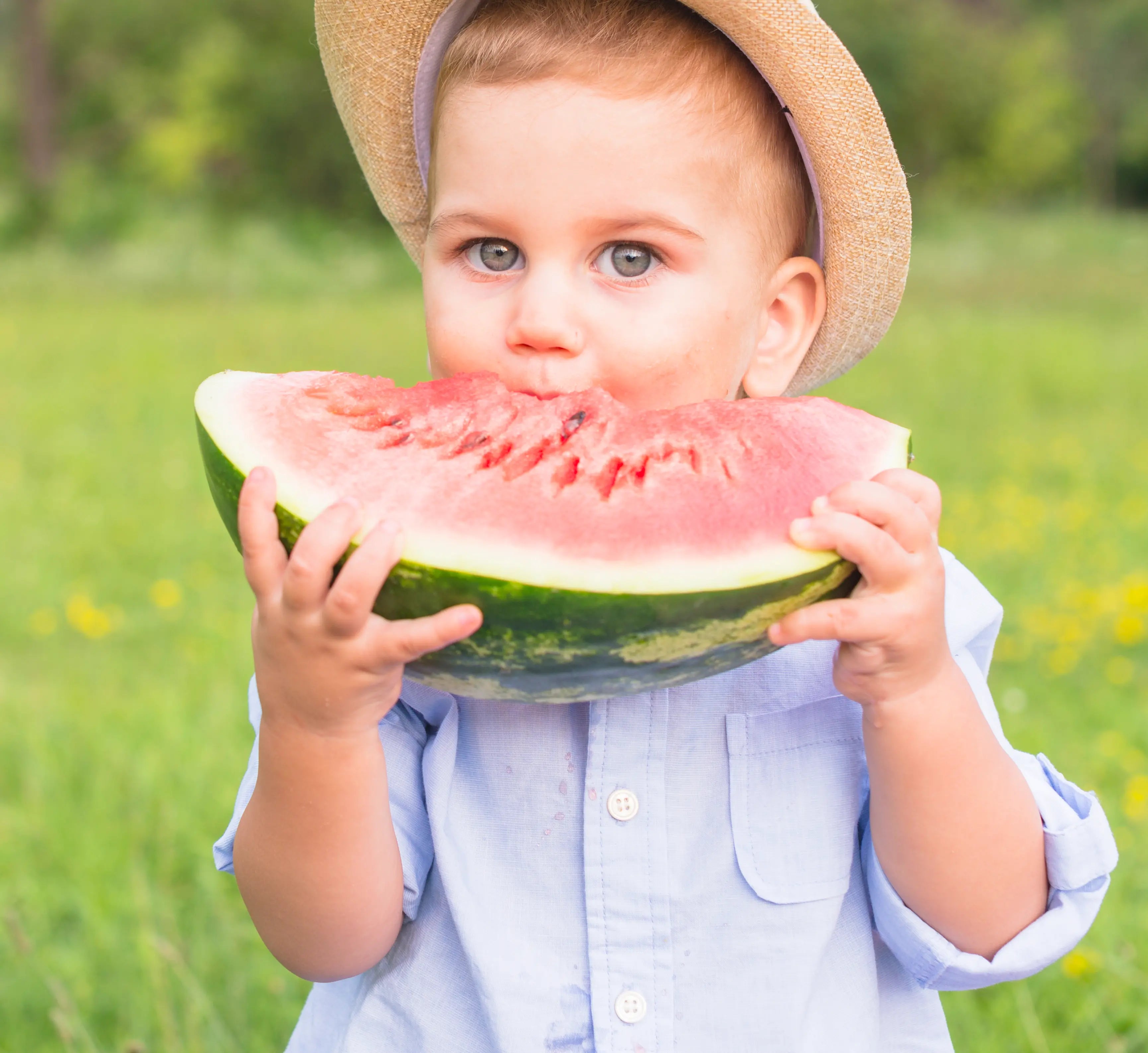 Toddler-Friendly Meal Ideas for Sunny Days: Quick and Delicious Recipes - AlmaVidaKids