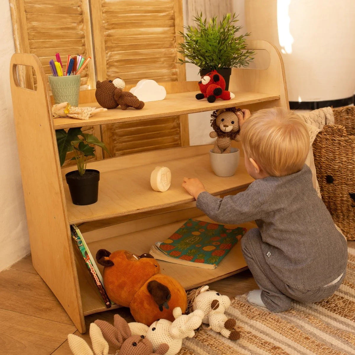 Wooden Montessori Bookshelf & Toyshelf