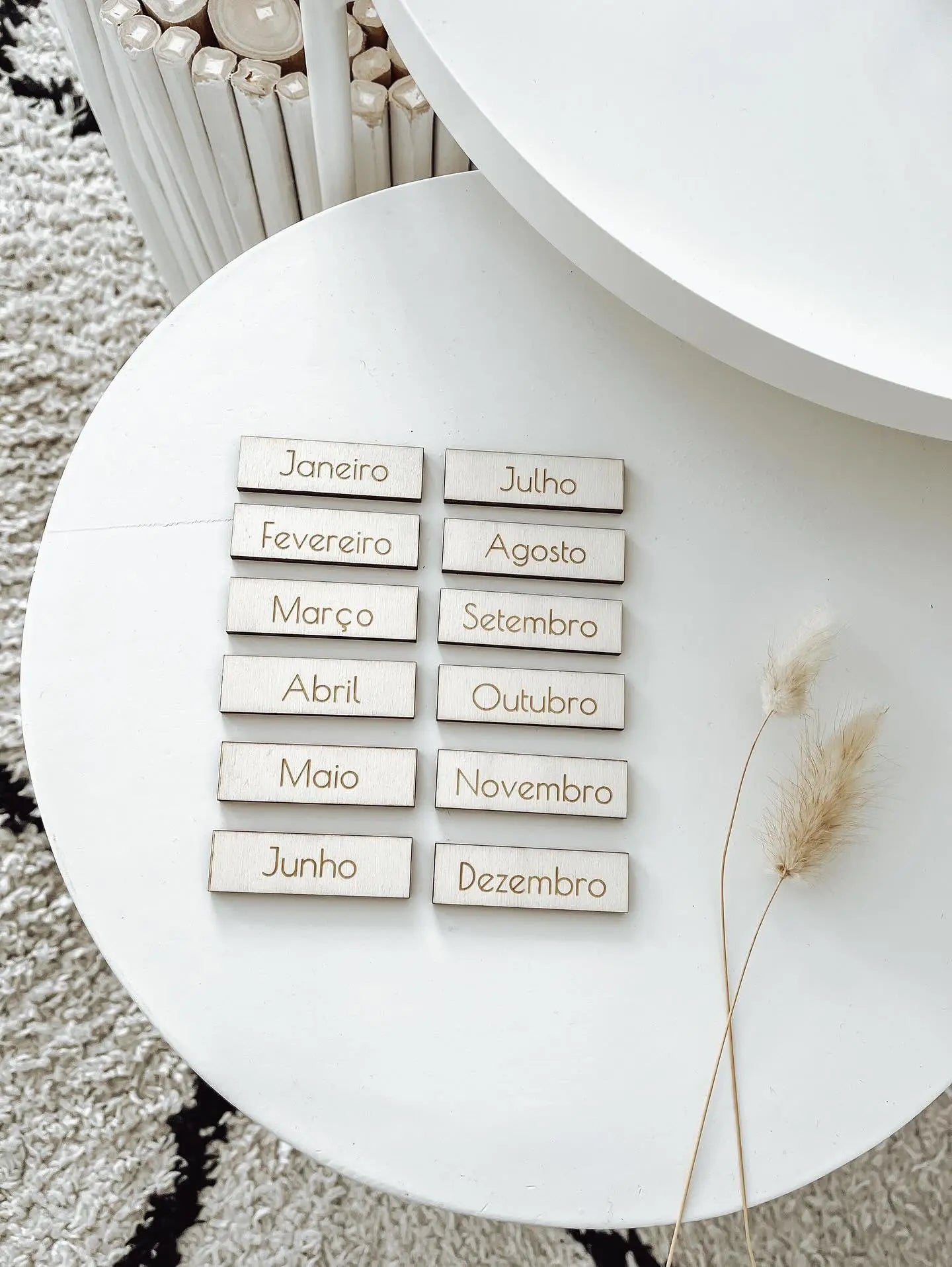 Month Pictograms - AlmaVidaKids