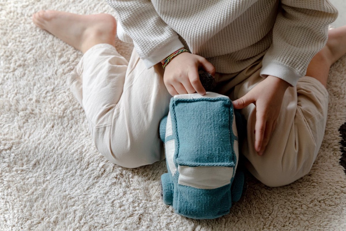 Ride & Roll Safari | Eco - city - AlmaVidaKids