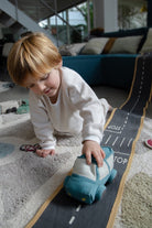 Ride & Roll Safari | Eco - city - AlmaVidaKids