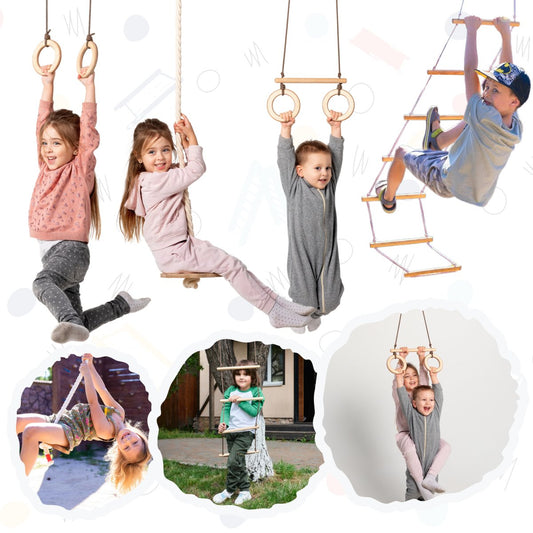 swing set, rings, ladder, trapeze with rings and a disc swing