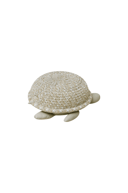 Basket Baby Turtle
